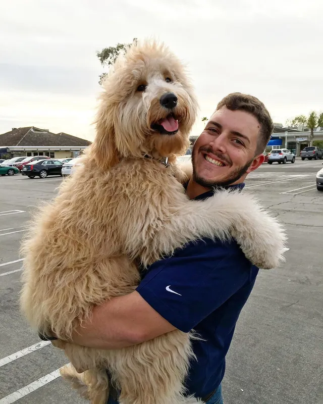 Nathan holding a fluffy goldendoodle